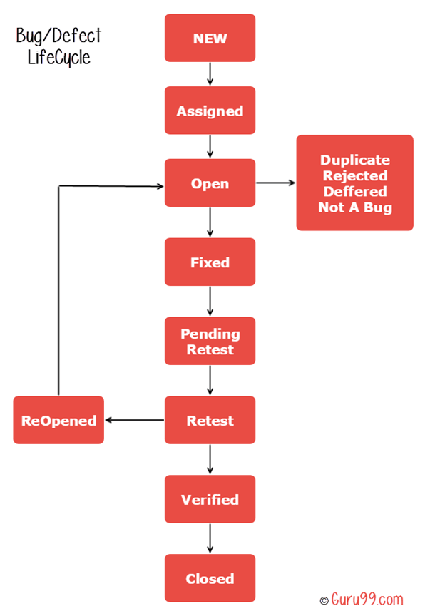 Bug Life Cycle